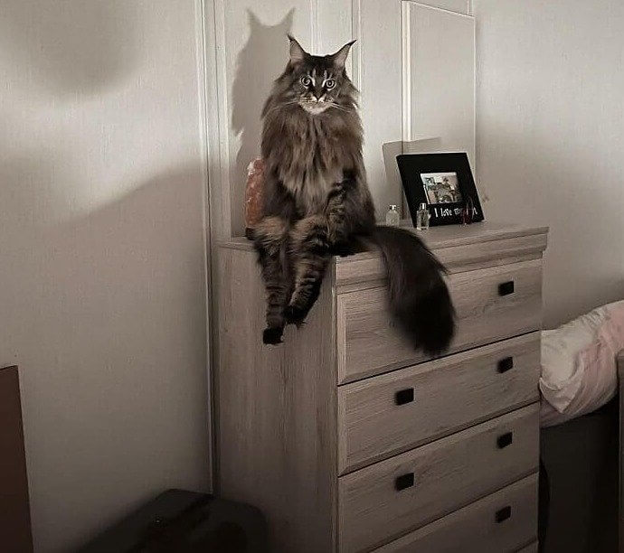 Weird And Chilling Moments Caught On Camera