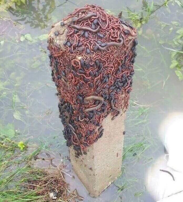 Weird And Chilling Moments Caught On Camera