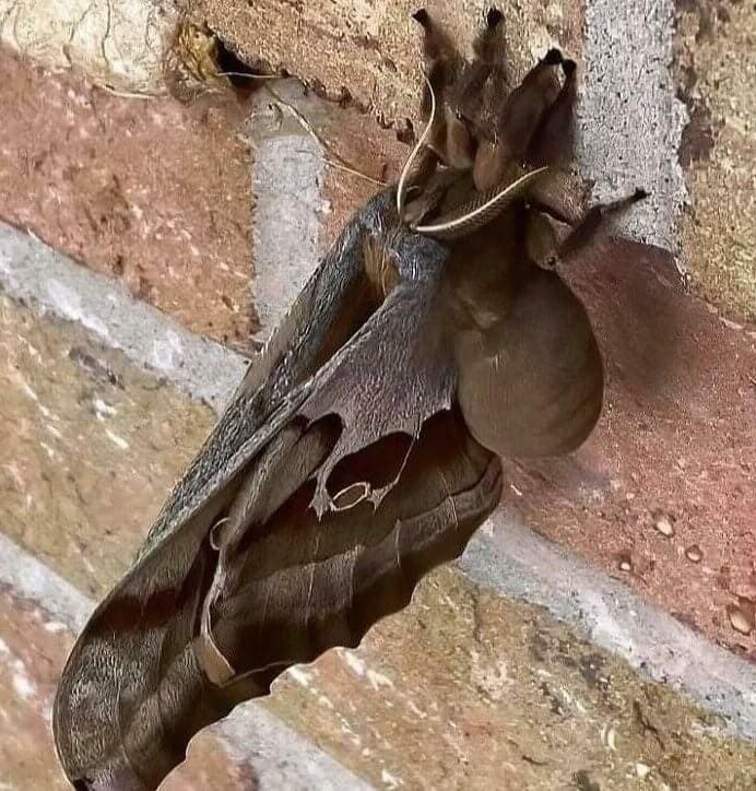 Weird And Chilling Moments Caught On Camera