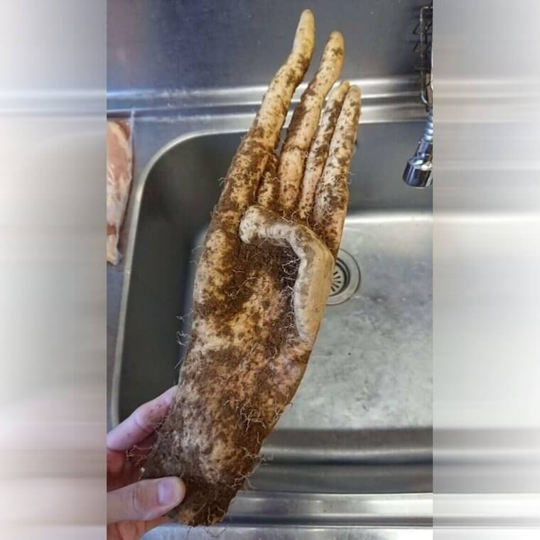 Weird And Chilling Moments Caught On Camera