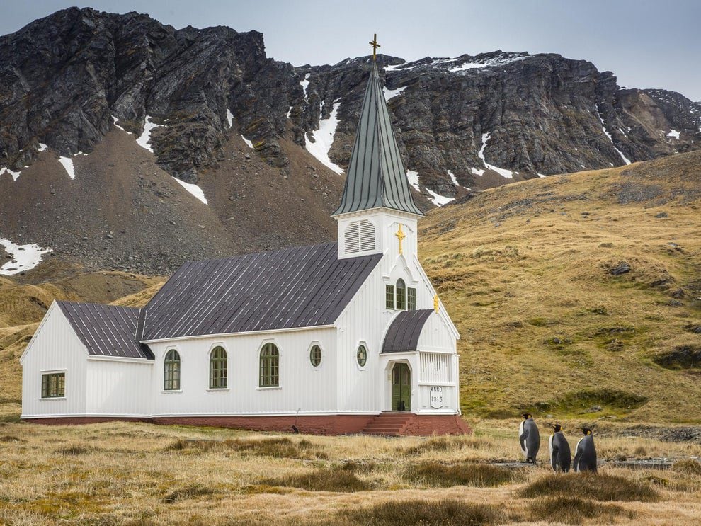 These Animals Are Living Their Best Lives, and It&#8217;s Adorable!